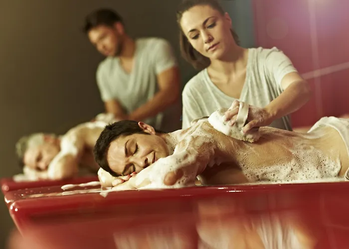 홀리데이 인 웨스트사이드 4* 베른